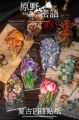 Beautiful day sticker material package Wilderness whisper Plant flower DIY handbook material hanging card decoration sticker. 