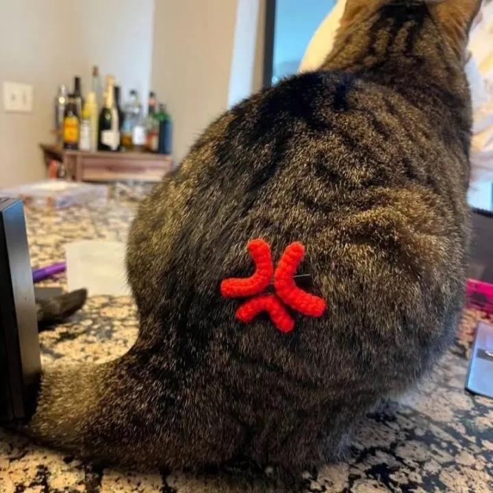 Expression%20Handmade%20Hair%20Clips%20For%20Women%20Girls%20Creative%20Angry%20Hair%20Clip%20Funny%20Side%20Clip%20Versatile%20Hair%20Accessories%20Gifts%20-%20Image%203