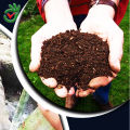 Cow dung dust dry 1kg pure organic fertilizer for plants. 