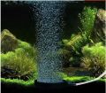 Aquarium Ornament Nano Air Bubble Stone Diffuser Atomizer tube Oxygen Pump for Fish Tank Aerator Hydroponic Aquarium Accessories. 