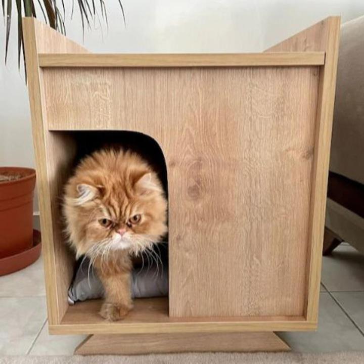 Modern Cat House Nightstand, Wooden Pet House, Cat Bed, Cat