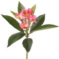 One Faux Single Stem Frangipani 23 Length Simulation Plumeria Real Touch Green Leaf for Wedding Centerpieces 3 Colors. 