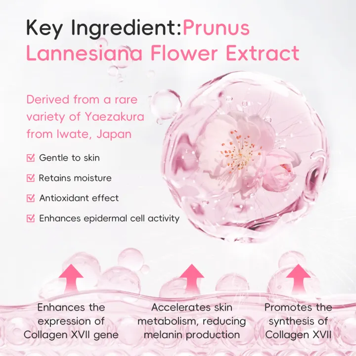 LAIKOU%20Japan%20Sakura%20Foot%20Cream%20Deep%20Moisturizing%20Nourishing%20Soften%20Skin%2030g%20-%20Image%204