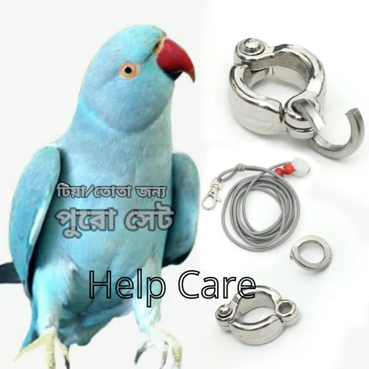 Ringneck%20Parrot%20China%20Ring%20&%20Harness%207mm%20Ring%20Combo%20-%20Image%203