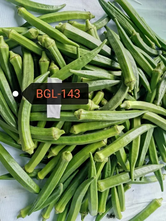 H1%20Hybrid%20BGL-143%20Okra%20Seeds%20-%20Image%202