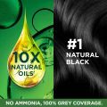 Garnier Color Naturals Cream, Natural Black 1, Mini 35ml+30g | India.