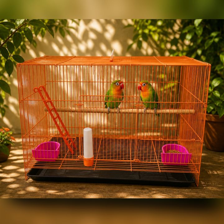 Large%20Squares%20Of%20Bangladeshi%20Premium%20Metal%20Bird%20Cage%20(2023)%20Size:%2025%20"%C3%97%2019"%20Including%20All%20Accessories%20%20Cash%20On%20Delivery%20Available%20-%20Image%208
