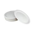 One Time Plastic Plate (large-10") 25 pcs.