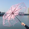 Transparent Tri-fold Floral Umbrella.