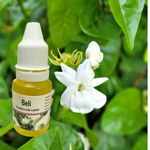 Essential%20oils%20for%20humidifier,%20Super%20best%20Effective%20Air%20Fragrance%20for%20Aroma%20Mist%20Diffuser%20humidifier%20-%20Image%203