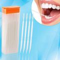 100 Pcs Plastic Toothpicks 2 Way Tooth Picks Interdental Brush Cleaners Portable Box Random Color. 
