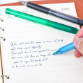 Retractable Erasable Gel Pens, Fine Point 0.7mm,Make Mistakes Disappear, Comfort Grip, for Drawing Writing 12 Pack Easy to Use.