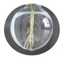 Plant Glass Vase Hydroponic Flower Pot Wooden Frame Stand Terrarium Home Decor.