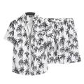 Beach Clothes For Men 2 Piece Set Hawaiian Shirt and Shorts Set Men Fashion Clothing Printing Casual Outfits Summer Beachwear. 