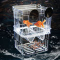 【Xiaofeng】Fish Breeding Protective Box Aquarium Fry Fish Hatchery.