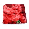 King soft full body embossed king size blanket&gt; heavyweight blanket for 2 person. 