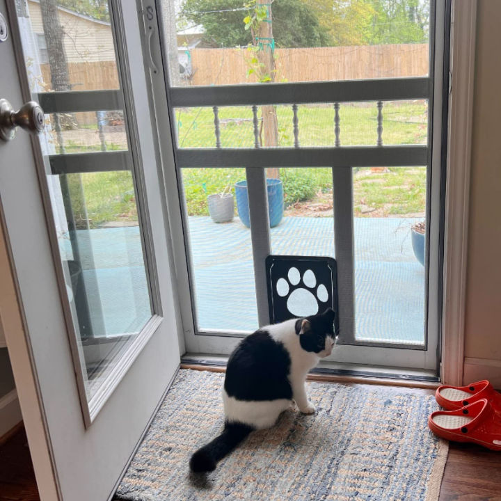 Pet%20Door%20New%20Safe%20Lockable%20Magnetic%20Screen%20Outdoor%20Dogs%20Cats%20Window%20Gate%20House%20Enter%20Freely%20Fashion%20Pretty%20Garden%20Easy%20Install%20-%20Image%202