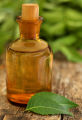 Neem Oil Nim Tel 50 Ml Natural Herbal Remedy for Skin And Hair Care Traditional Medicine from India.