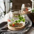 Glass Planter Plant Propagating Jar Desktop Planter for Home Indoor Garden Small. 