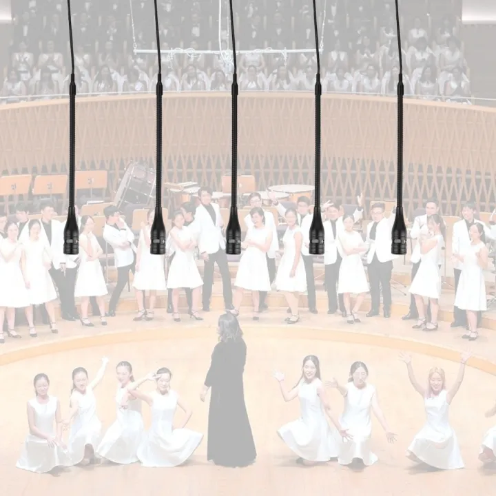 HT-320G%20HT-320H%20Mini%20Hanging%20Condenser%20microphone,Hanging%20choral%20condenser%20Mic,Instrumental%20condenser%20Mic%20-%20Image%204