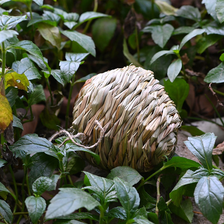 Wholesale%20straw%20round%20bird's%20nest%20hand-woven%20DIY%20creative%20gardening%20decoration%20birdcage%20cross-border%20source%20one%20piece%20dropshipping%20-%20Image%204