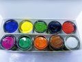 Fevicryl acrylic sunflower kit for women 10 shades for clothing, art, and painting.