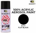 Bosny Flat Black Paint 4. 