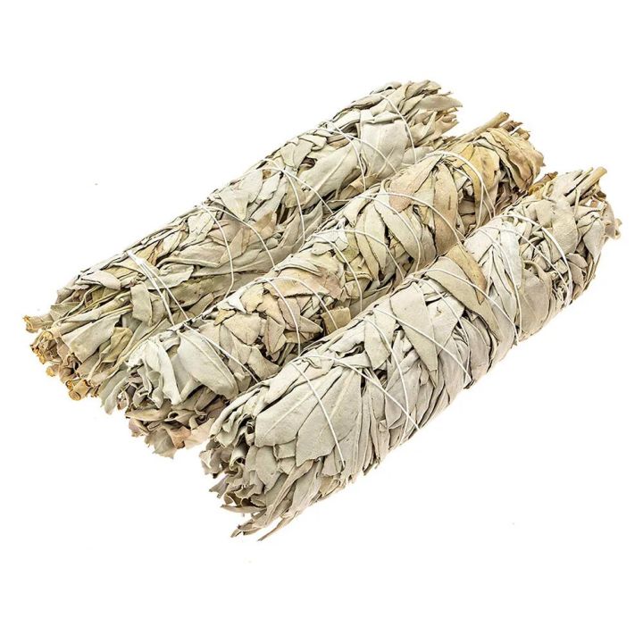 【Daily Necessities For Anyone Store】White Sage udge Stick Wisp Plant For Room Purification Fresheners Decoration Supplies Accessories