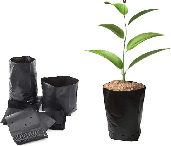 Nursery%20Black%20Poly%20Bag%208/8inch%20250gm%20for%20Planting%20Nursery%20Pots%20Plant%20Grow%20Bags%20Seedling%20Planter%20-%20Image%208