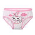4PCS Cotton Panties for Girl Mermaid and Unicorn Printed Cartoon Underwear High Quality Soft Kawaii Clothes for Kids 2-6 Years.