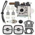 Carburetor for Echo SRM-230 SRM-231 GT-200R SRM-210 SRM-230S SRM-230U Weed Eater Trimmer with Air Filter Tune Up Kit. 