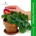 100g Osmocote Slow Release Fertilize For Orchids, Flowers, Plants, Vegetables, Potted plant, Bushes, Bonsai, Perennial Shrubs Inside and Outside Office Buildings or Home Garden  From Green Messenger ( 4 Different Ratio). 