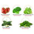 Premium Quality Foreign Vegetable Seed (Hybrid) Combo Package (Re Packet) / seeds. 
