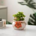 Plant Pot Flower Pots Decoration Hanging Baskets for Plants Hanging Planter.