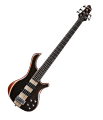 Guson 5 String Active Right Handed Bass Guitar With Guson Soft Case,String,Picks. 