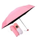 RAISA 7" Mini Folding Capsule Umbrella – Ultra-Portable & Stylish Compact Umbrella in Cute Case. 