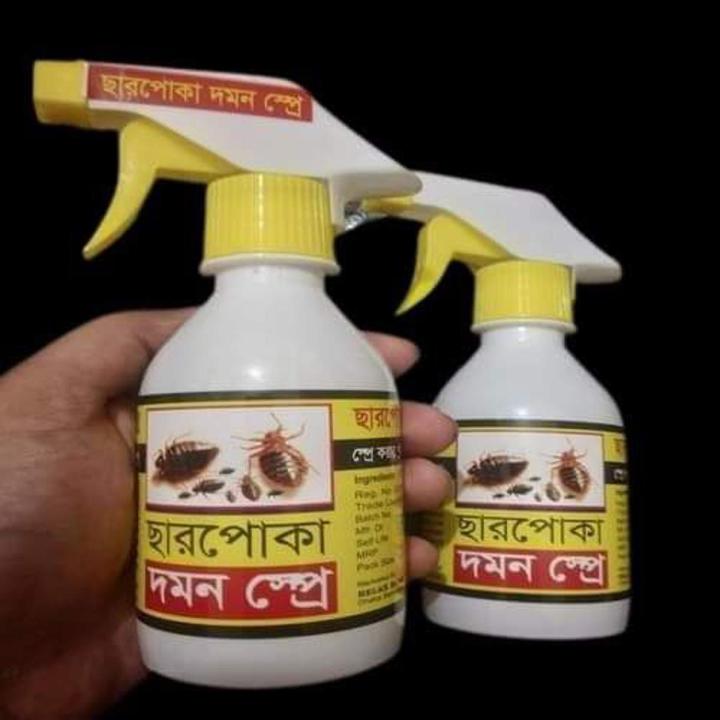 Charpuka Insect Bedbug Killer Spray for one room | 100% effective non-smelly Systemic ...