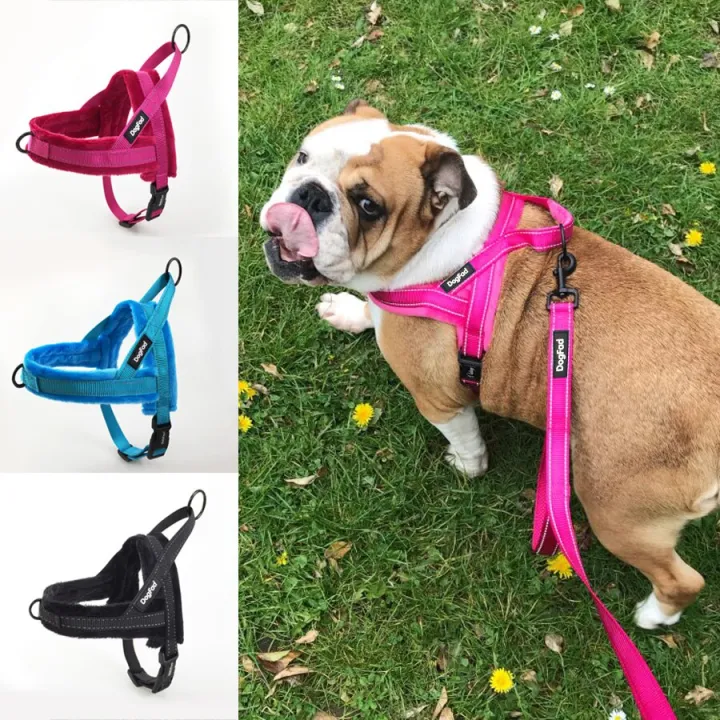 Soft%20flannelette%20%20Harness%20Lightweight%20No%20Pull%20Pet%20harness%20with%20Padded%20Reflective%20Vest%20Harness%20for%20Small%20and%20Medium%20s%20-%20Image%203