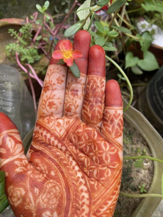 Organic%20Mehedi%2025%20Gram%20(3%20PCS)%20-%20Image%203