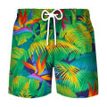 Coconut Tree Graphic Surfing Board Shorts Pants Men 3D Print Tropics Sea Island Beach Shorts Hawaii Swimsuit Ice Shorts Swimwear.