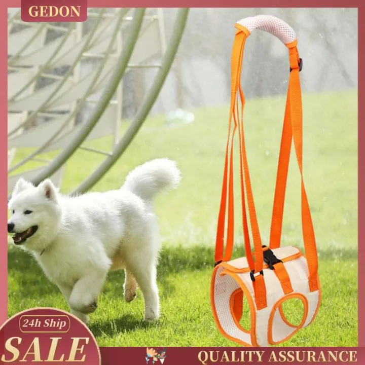 %5BGedon%5D%20Lift%20Hip%20Support%20Lifting%20Harness,Dog%20Pets%20Rear%20Weak%20Legs%20for%20Canine%20Senior%20Injured%20Disabled%20Joint%20Dogs%20-%20Image%208