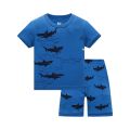 New Design Dinosaur Boys Pajamas Sets Children's Pyjama Boy's Sleepwear Suit Telescope Kids Pjamas home wear Costumes Nightgown.