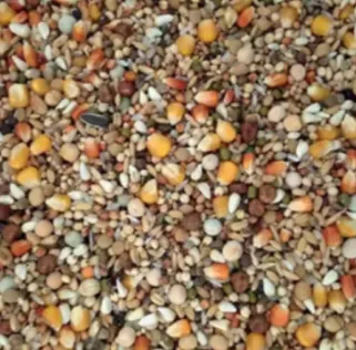 Premium%20Quality%20Pigeon%20mixture%20food%201%20kg%20-%20Image%202