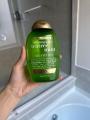 International Germany product Hair care Ogx Teatree Mint shampoo used for male/ female - 385 ml. 