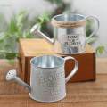 Retro Style Iron , Planter Pots Plant Kettle Flower Arrangement Mini Plant Pot Holder Vintage Style Flower Pot for Party Desktop. 