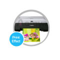 Buy 1 Get 1 FREE ! Printer Dye ink Refill for Epson inkjet printers with refillable cartridge bulk ink 100ml 8 bottles. 