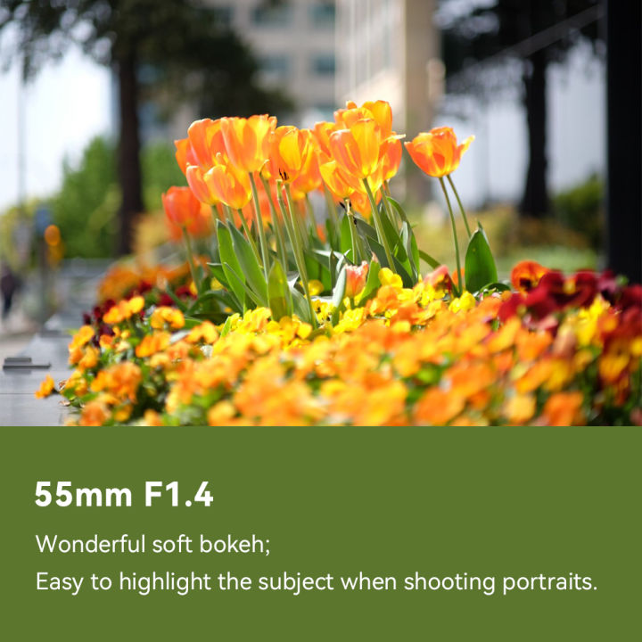 7artisans%2055mm%20F1.4%20MF%20Large%20Aperture%20Portrait%20Prime%20Lens%20For%20Sony%20E%20A6600%20Canon%20EOS-M%20M50%20FujiX%20X-A1%20X-T1%20Micro%204/3%20E-PL1%20E-M10%20-%20Image%202