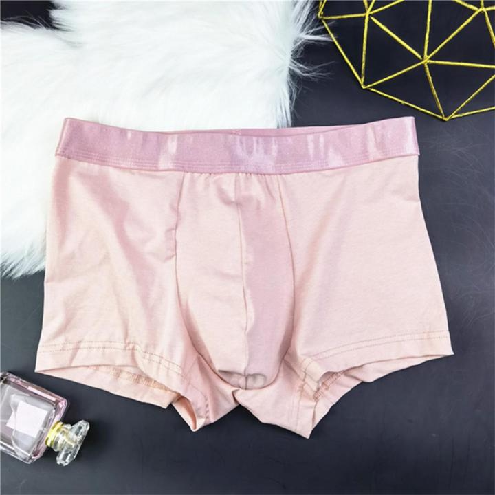 Couple Underwear Seamless Men Boxers High Quality Women Lace Back Transparent Briefs Mens Pouch Trunks Shorts Lingerie