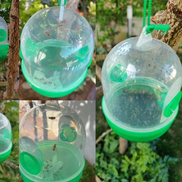 Hanging%20Plastic%20Asian%20Hornet%20Catcher%20Wasp%20Trap%20Fly%20Killer%20Anti%20Bee%20Killing%20Mosquito%20Yellowjacket%20Pest%20Control%20for%20Kitchen%20Garden%20-%20Image%203