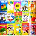 Learning the Alphabet in rhyme pictures for Children Like a Toy Babies Books - 15 PCS Book. 